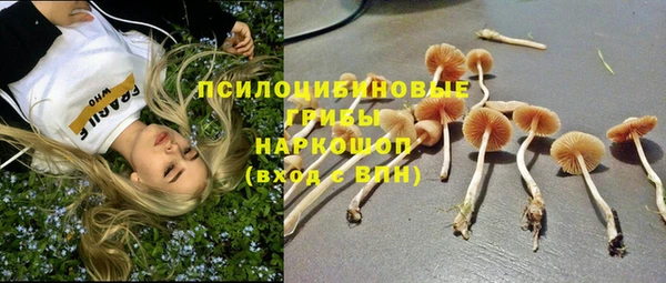 стаф Магадан