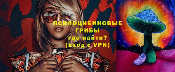 стаф Магадан