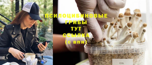 стаф Магадан