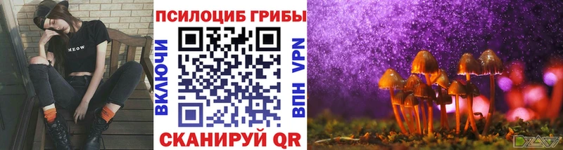 Псилоцибиновые грибы Psilocybe  где продают   даркнет наркотические препараты  Лысково 